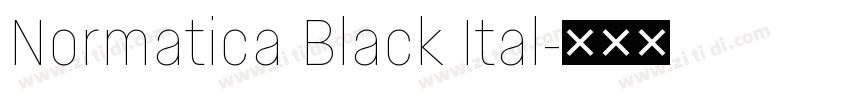 Normatica Black Ital字体转换